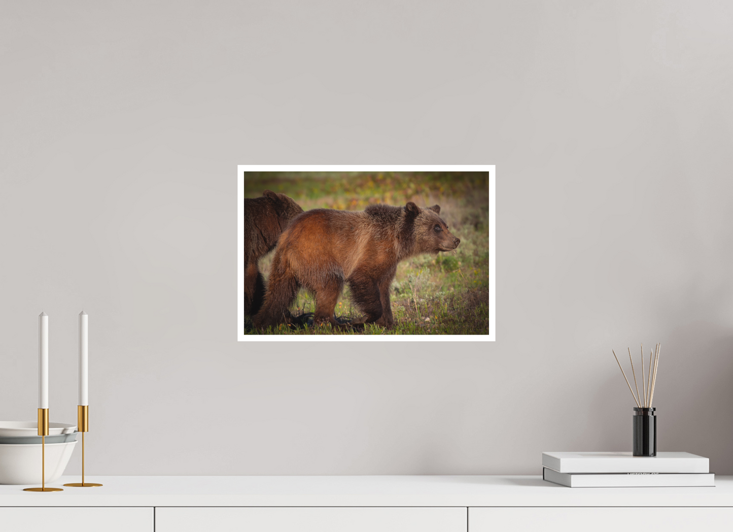 15 x 10″, Fine art print "Sage Wander" - Grizzly bear