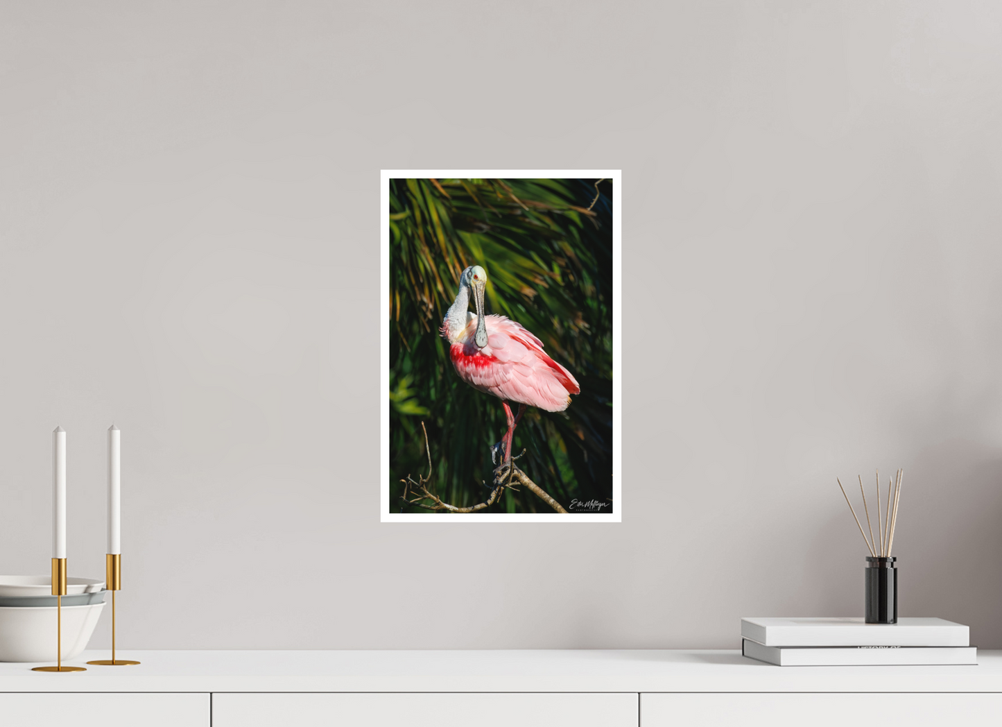 10 x 15″, Fine art print "Blush of the Wetlands" - Roseate Spoonbill