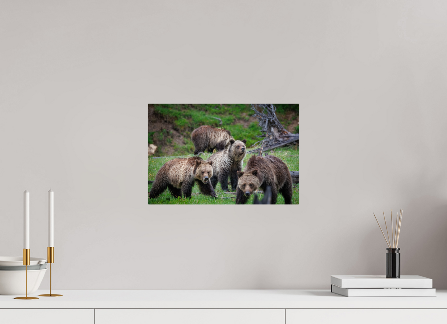 Grizzly family of four