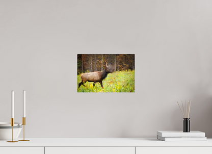 12 x 8″, Metal "Call of the Wild" - Elk