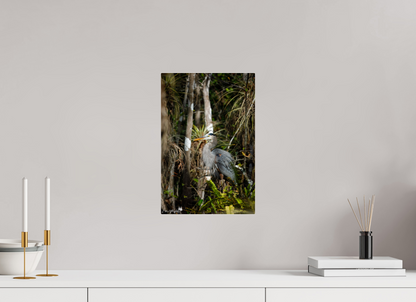Great blue heron in the swamp