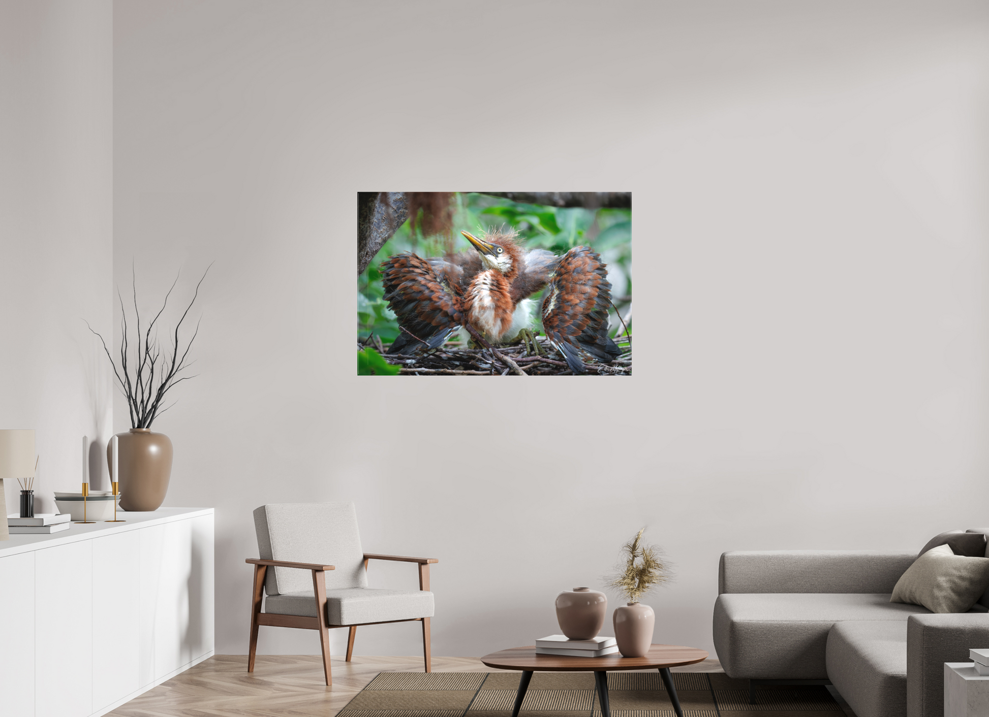 45 x 30″, Canvas "Finding My Wings" - Tricolored Heron