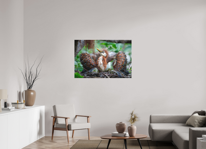 45 x 30″, Canvas "Finding My Wings" - Tricolored Heron