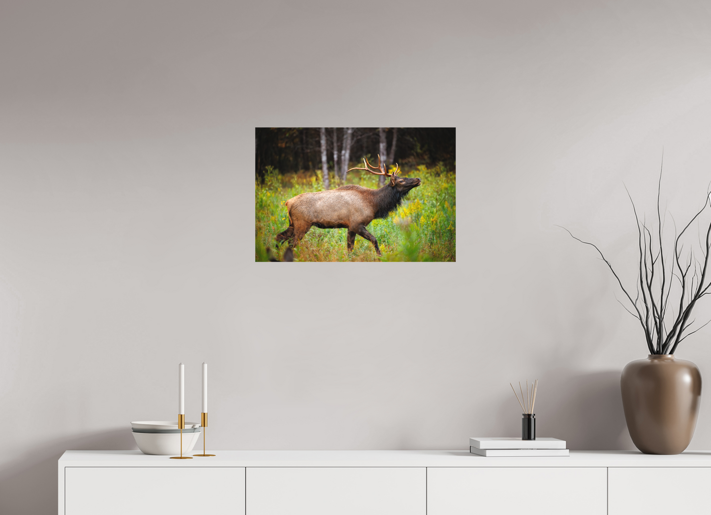 24 x 16″, Canvas "The Challenger" - Elk