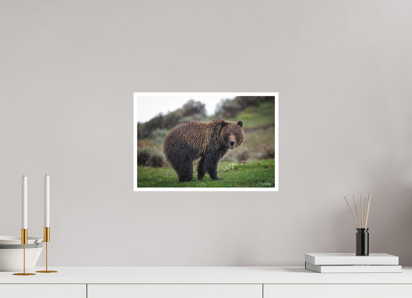 15 x 10″, Fine art print "Stormy Charm" - Grizzly Bear