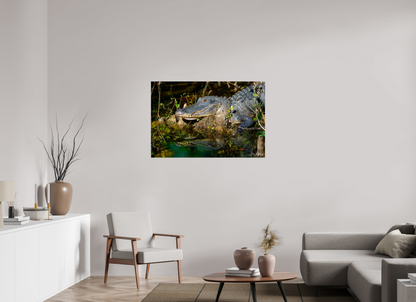 45 x 30″, Acrylic "Shadow of the Cypress" - American Alligator
