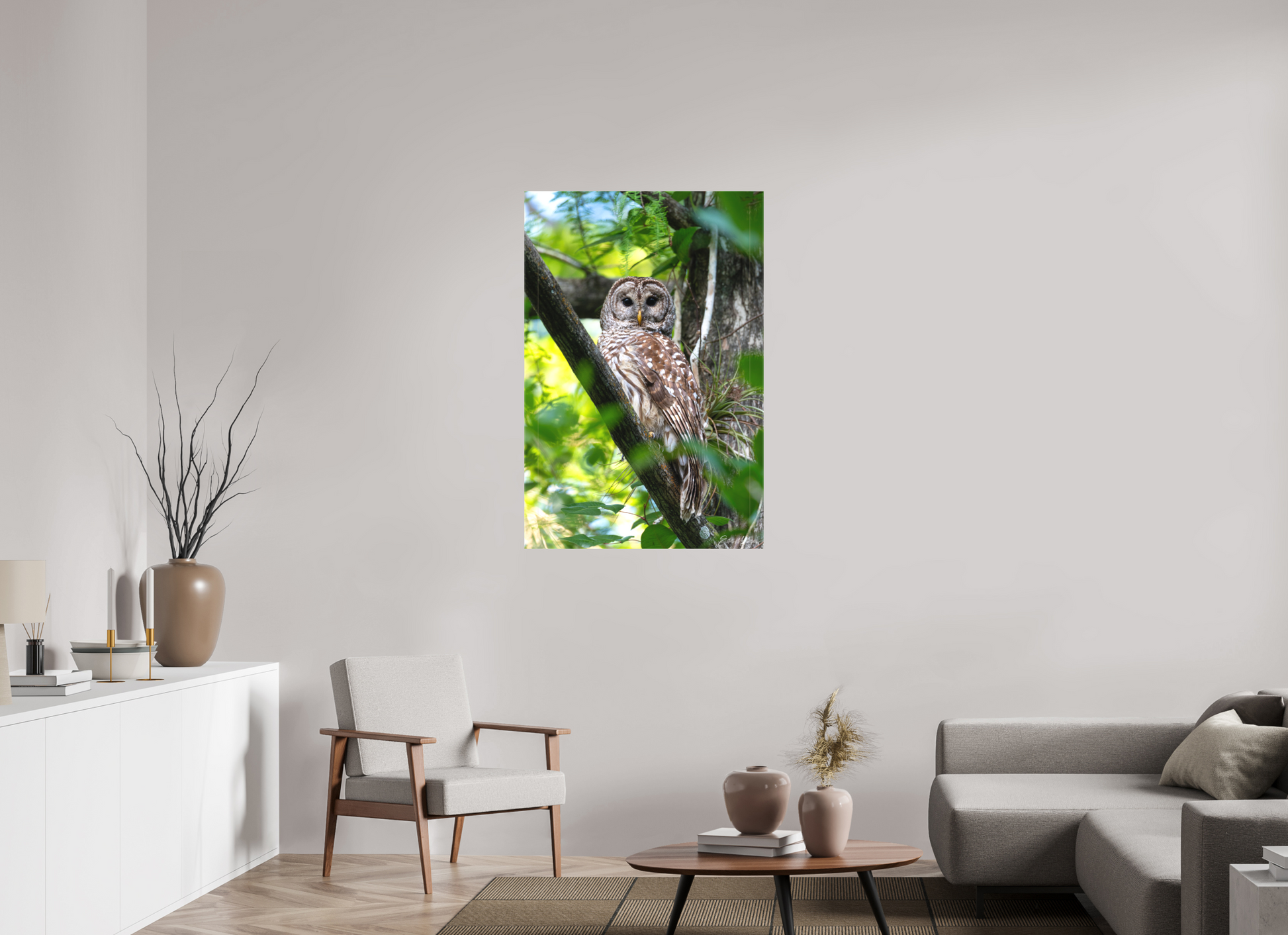 30 x 45″, Canvas "..." - Barred Owl