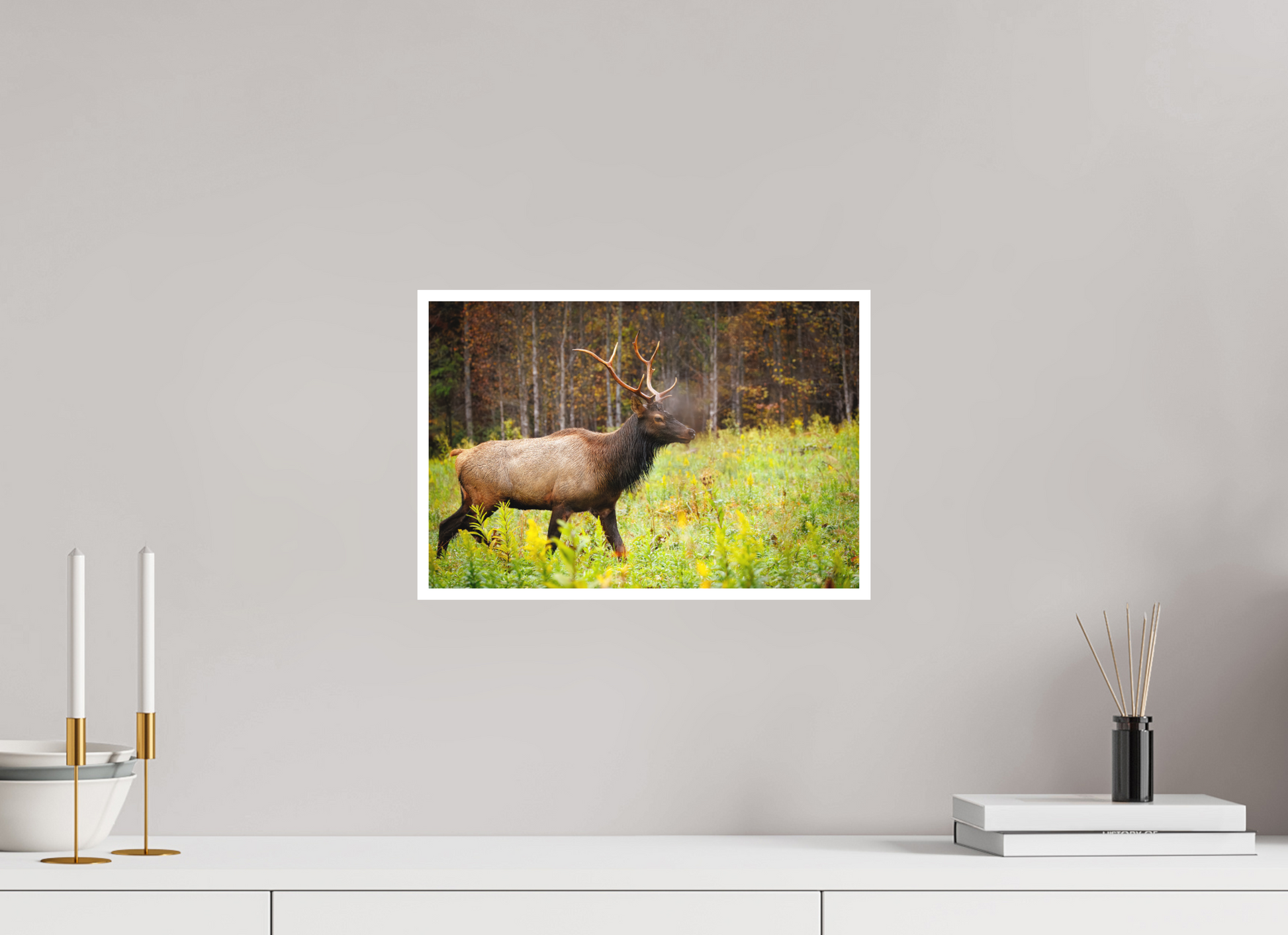 15 x 10″, Fine art print "Call of the Wild" - Elk