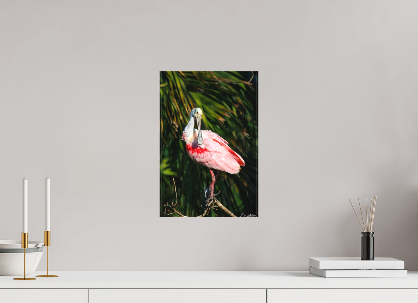 10 x 15″, Canvas "Blush of the Wetlands" - Roseate Spoonbill
