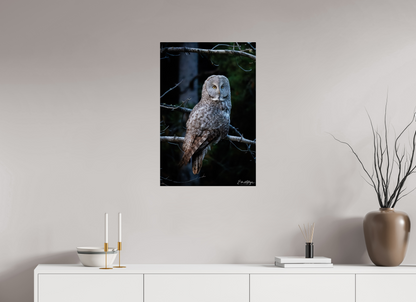 20 x 30″, Acrylic "Keeper of the Dawn" - Great Grey Owl