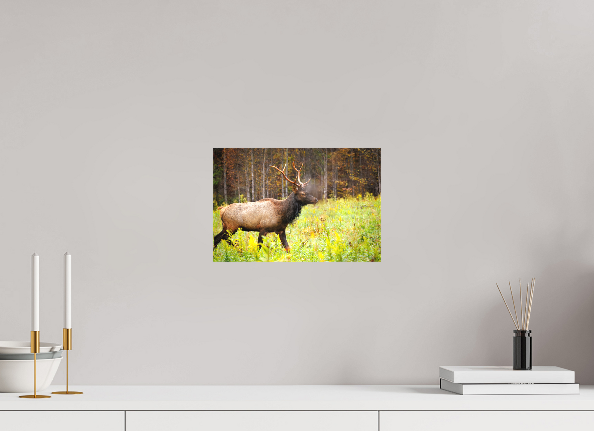 12 x 8″, Canvas "Call of the Wild" - Elk