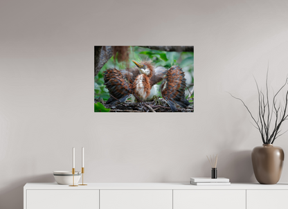 30 x 20″, Metal "Finding My Wings" - Tricolored Heron