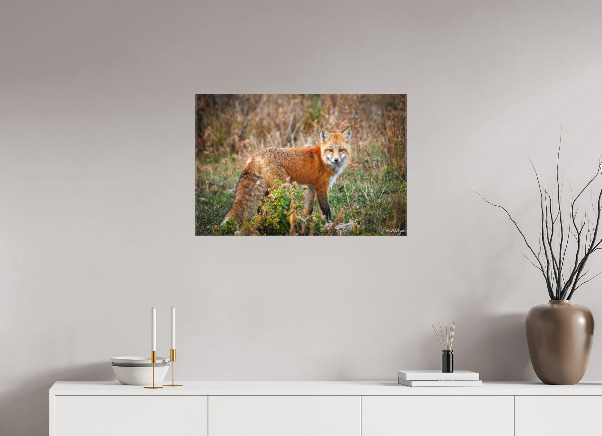 30 x 20″, Canvas "Ember in the Grass" - Red Fox