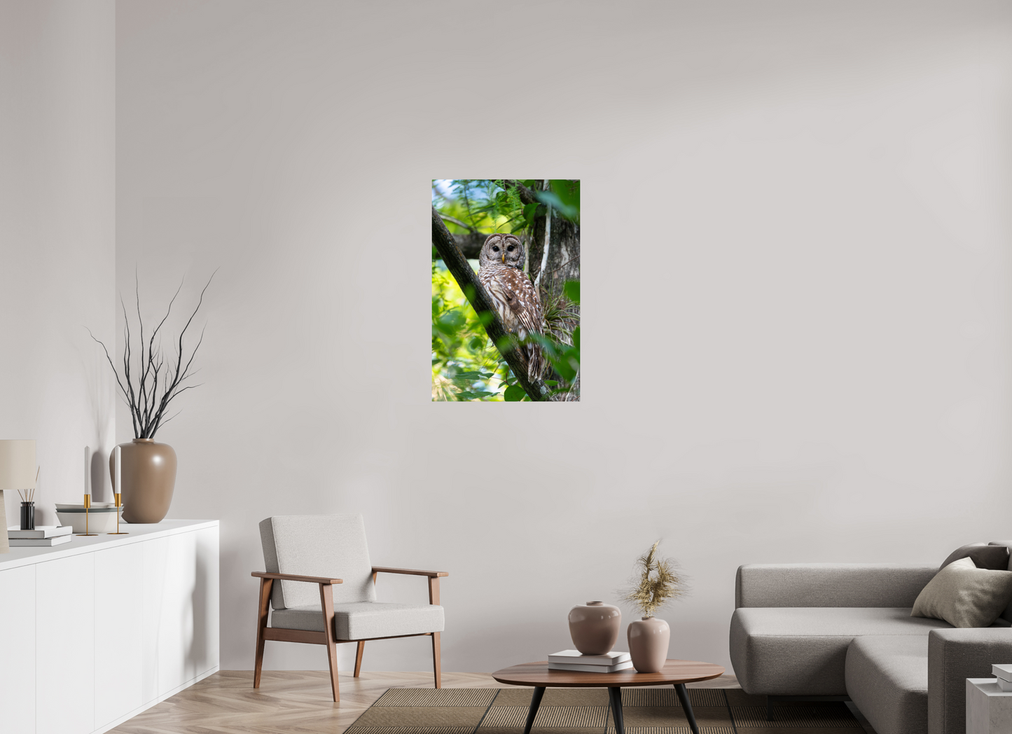 24 x 36″, Metal "..." - Barred Owl