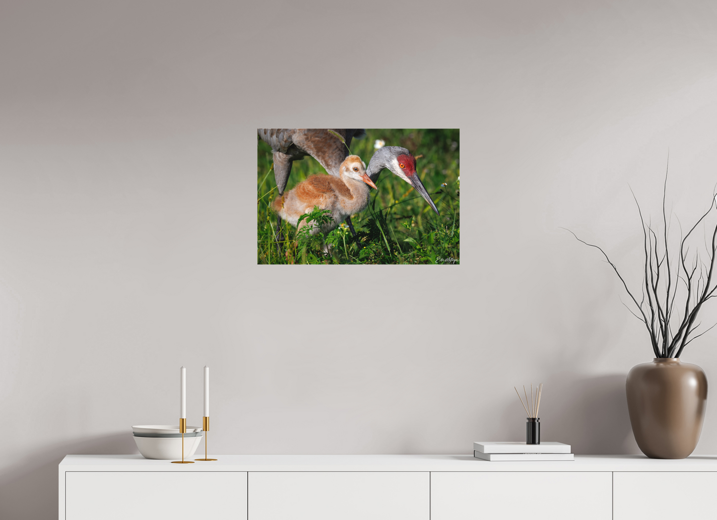 24 x 16″, Canvas "Guiding the Next Generation" - Sandhill Cranes