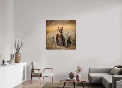 40 x 40″, Fine art print "Standing Tall" - Grizzly Bear