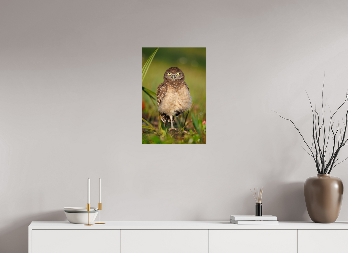 16 x 24″, Metal "Little Lookout" - Burrowing owlet