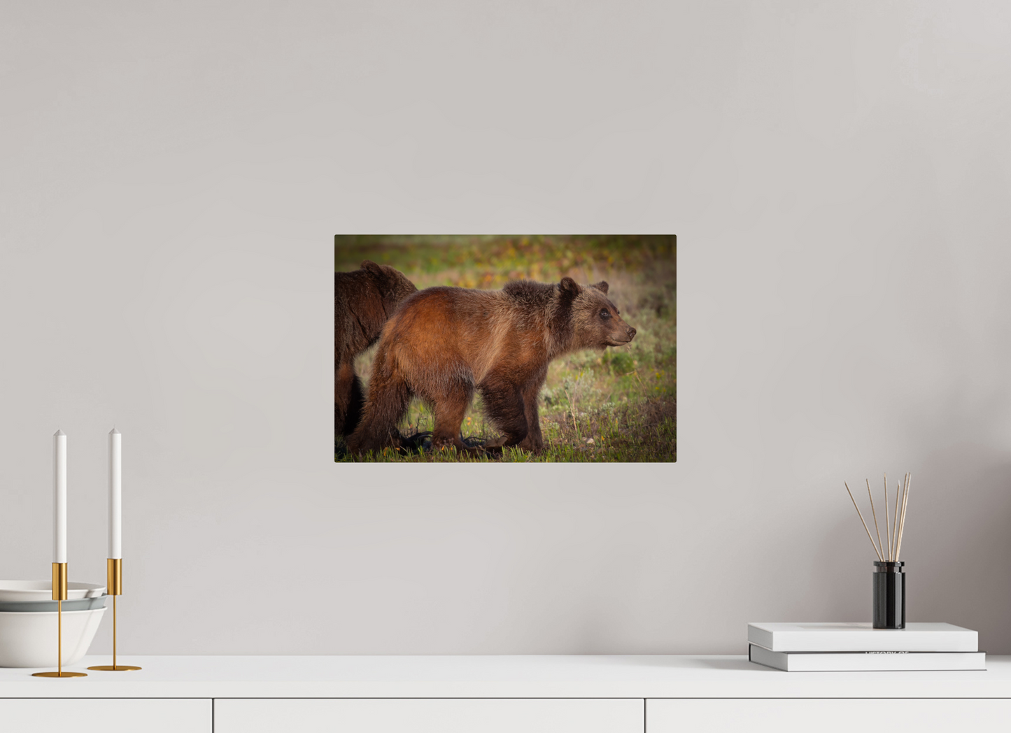 15 x 10″, Metal "Sage Wander" - Grizzly bear