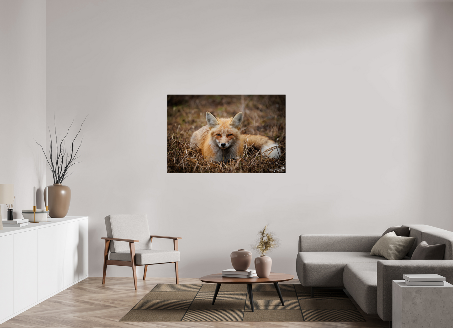 Bedded down fox