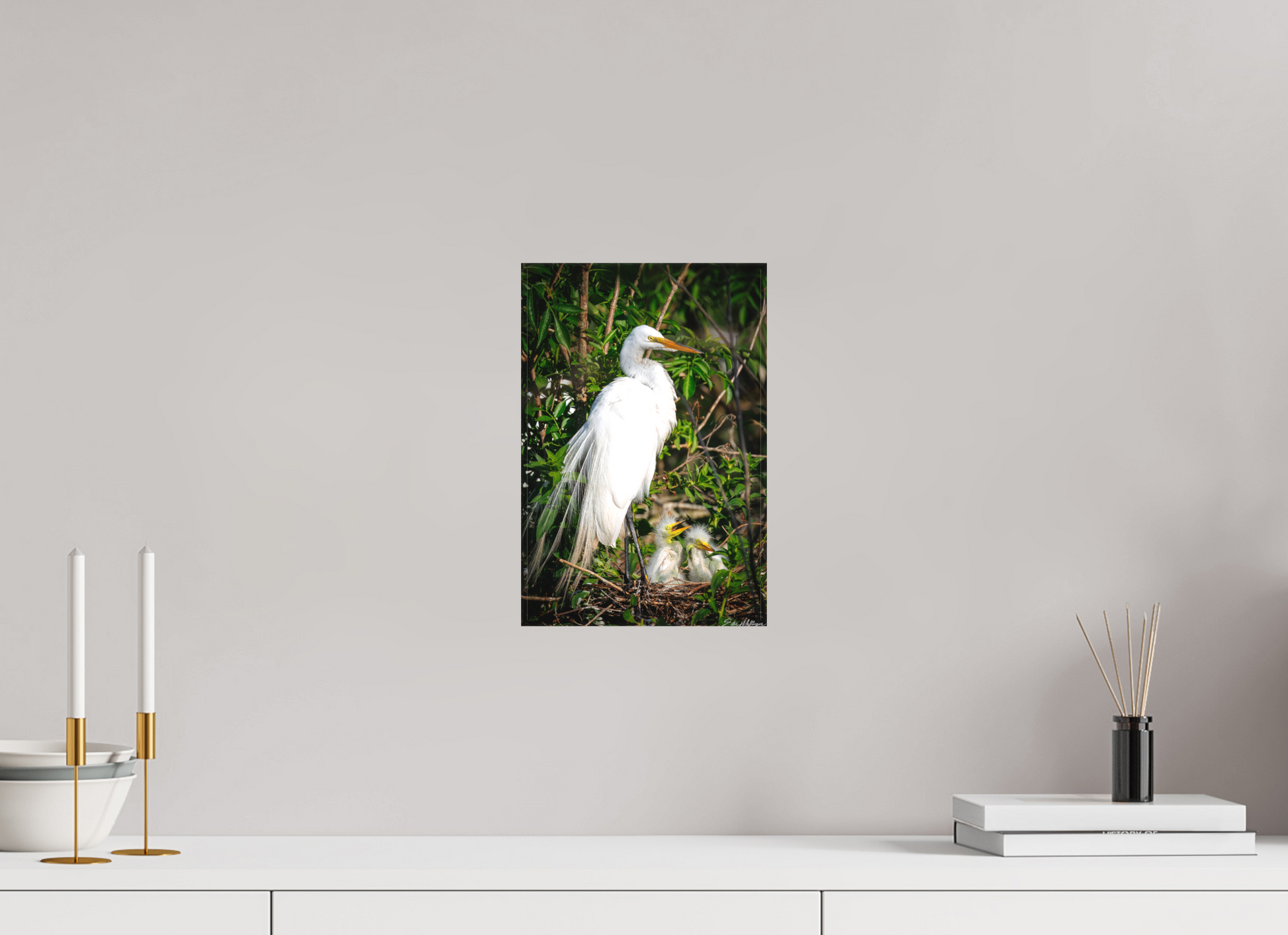 8 x 12″, Canvas "Family Moment" - Great Egrets