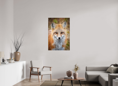 30 x 45″, Acrylic "Face to Face" - Red Fox