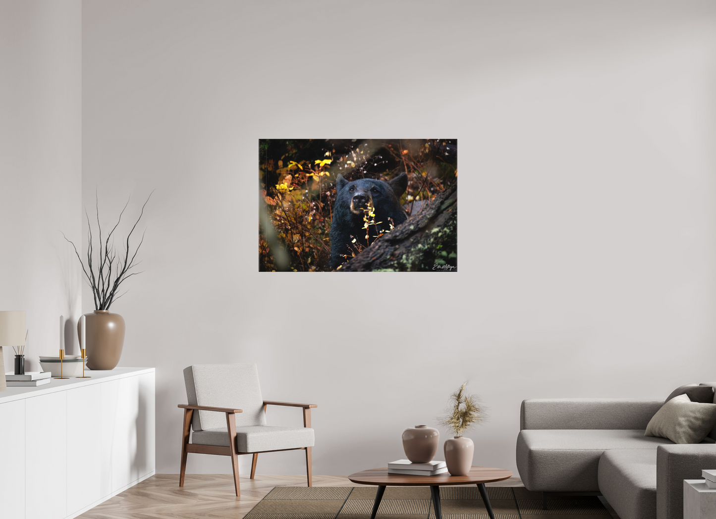 45 x 30″, Canvas "Autumn Watch" - Black Bear