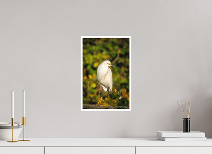 10 x 15″, Fine art print "Golden Light, White Silence" - Great Egret