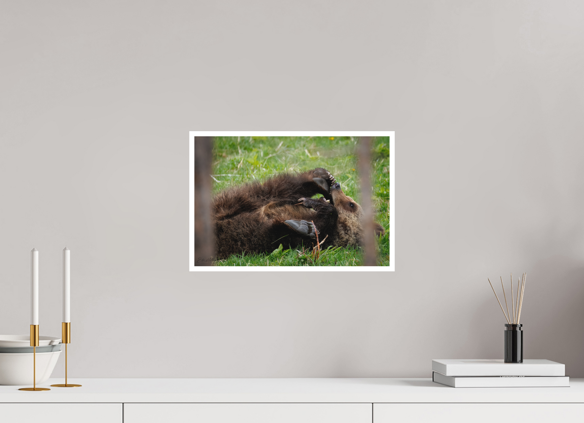 15 x 10″, Fine art print "Playful Beginnings" - Grizzly Bear