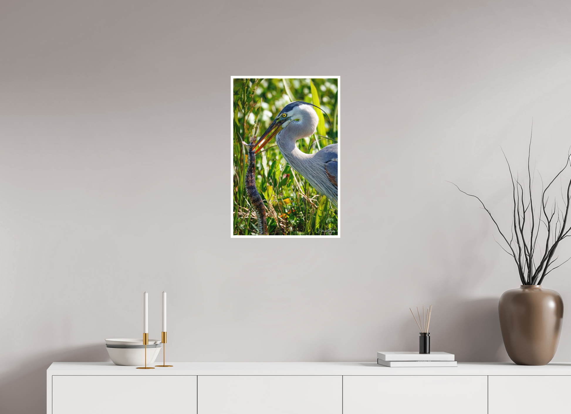 16 x 24″, Fine art print "The Hunt in the Marsh" - Great Blue Heron