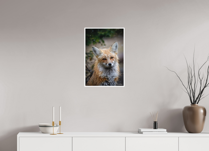 16 x 24″, Fine art print "Quiet Mind" - Red Fox