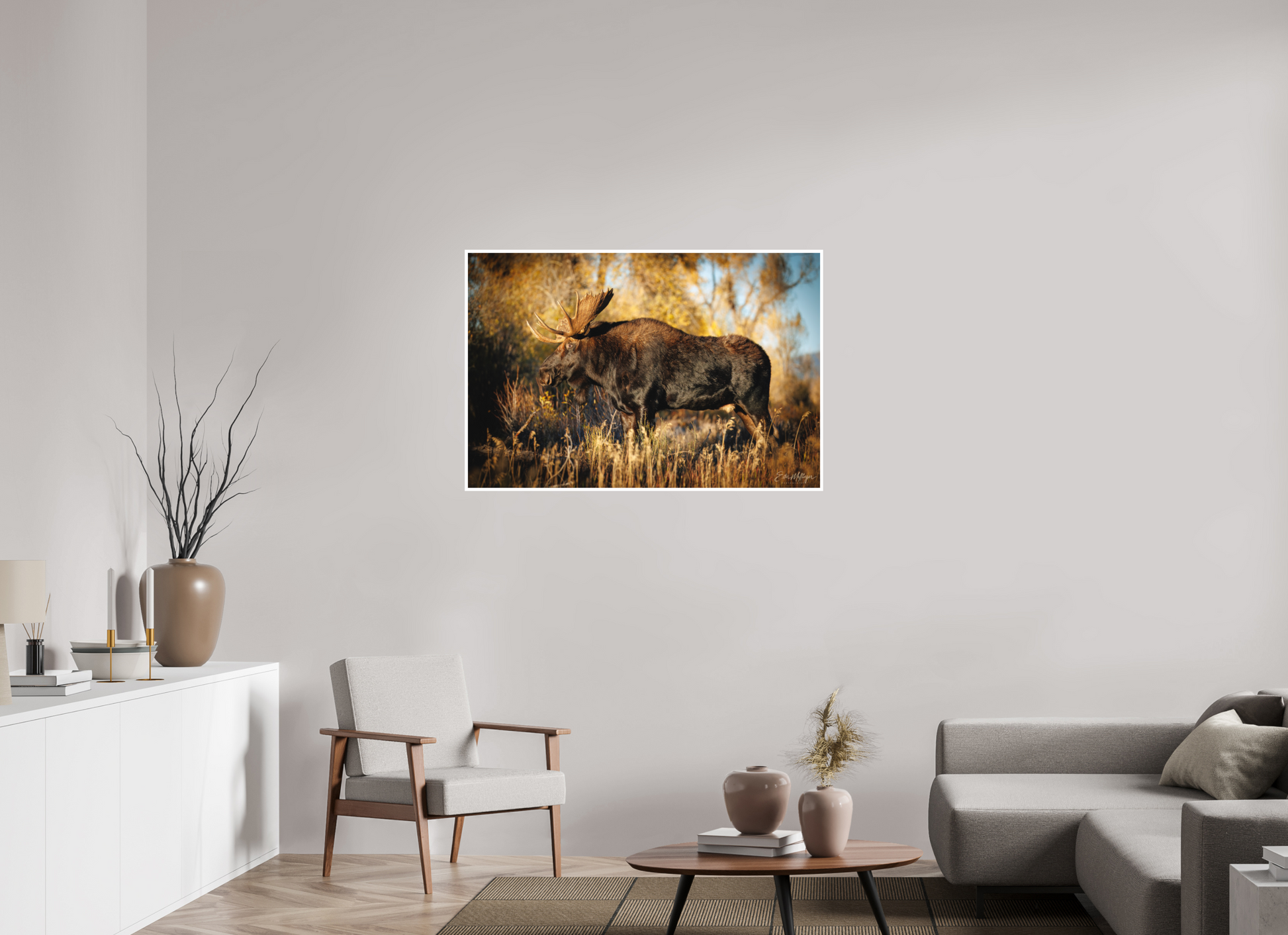 45 x 30″, Fine art print "Monarch of Gros Ventre - Presence" - Bull Moose