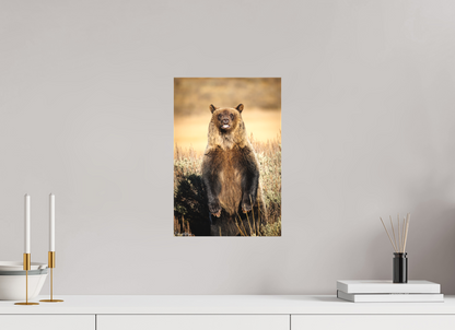 10 x 15″, Canvas "Grin & Grizzly" - Grizzly Bear