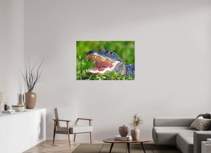 45 x 30″, Canvas "Wide Open" - American Alligator