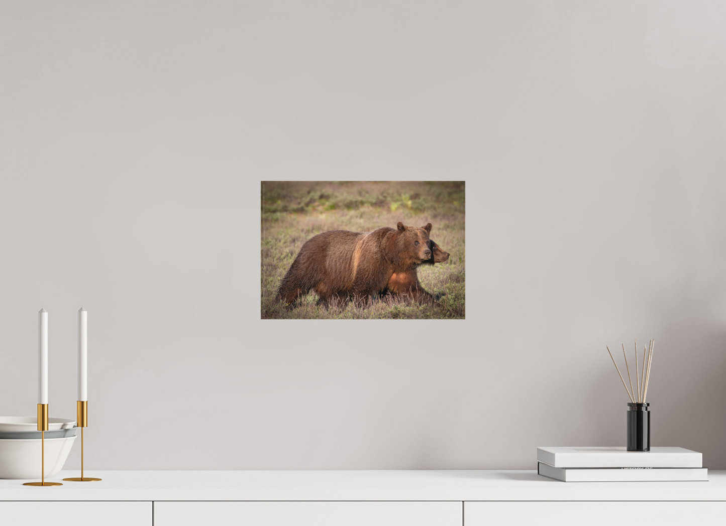12 x 8″, Canvas "Grizzly 399 on the Move"