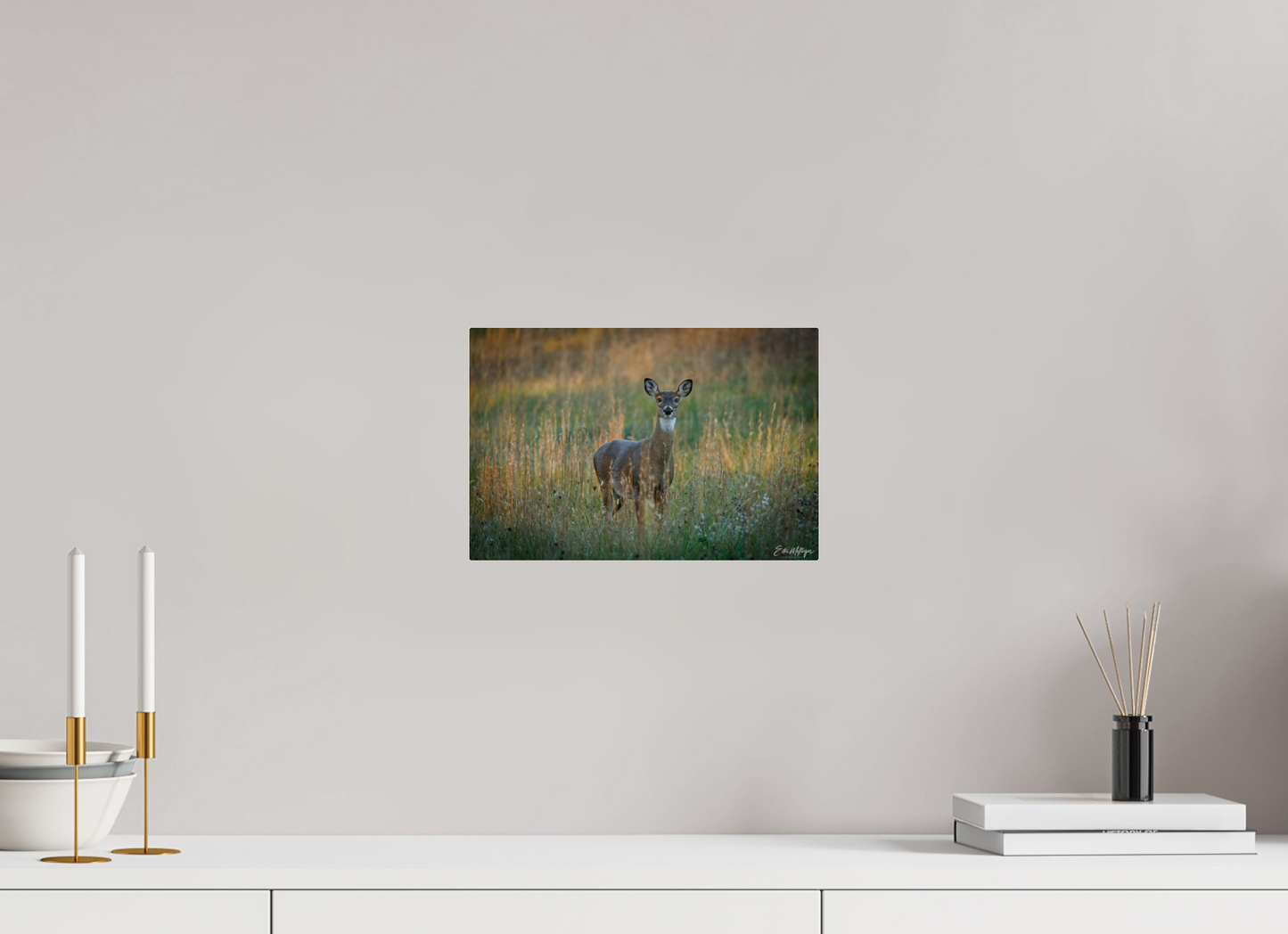 12 x 8″, Acrylic "Grace in the Meadow" - White-tailed Doe