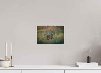 12 x 8″, Acrylic "Grace in the Meadow" - White-tailed Doe
