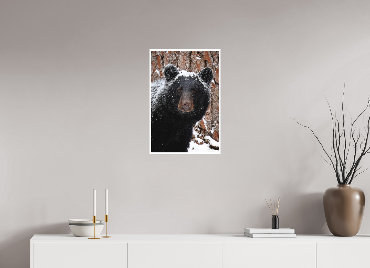 16 x 24″, Fine art print "Smoky Mountain Gaze" - Black bear close-up