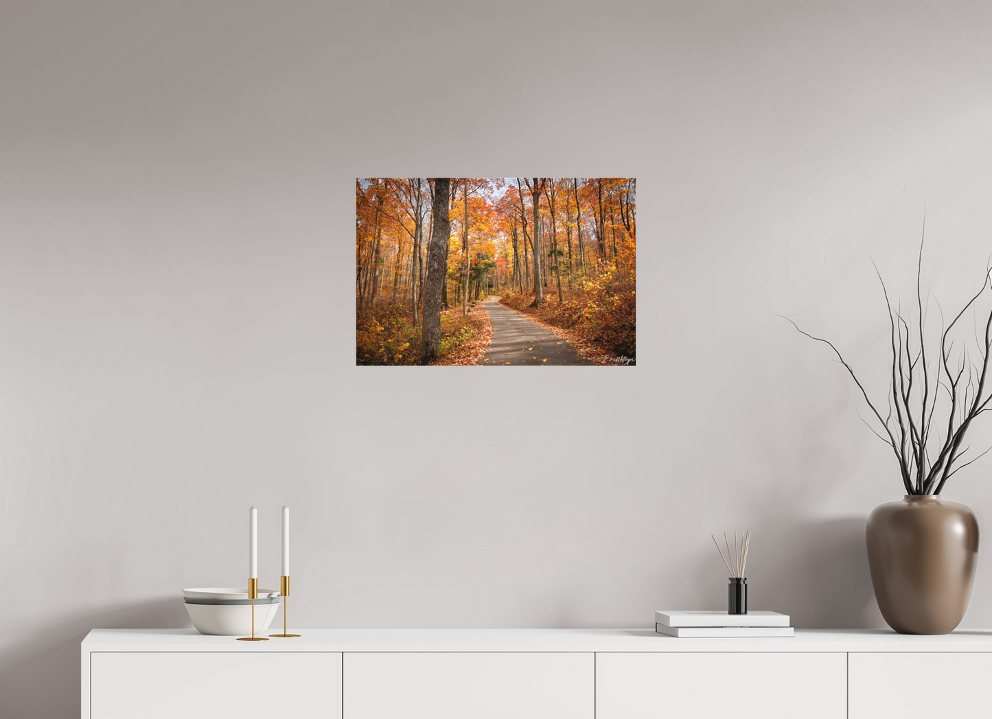 24 x 16″, Canvas "Golden Path" - Roaring Fork Road