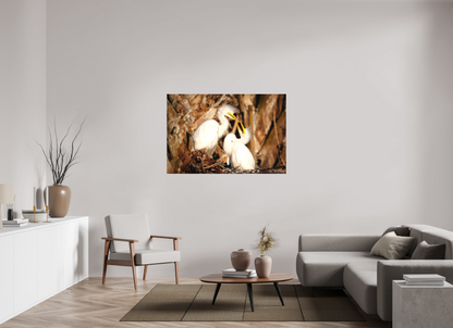 54 x 36″, Canvas "Wetland Nursery" - Great Egrets