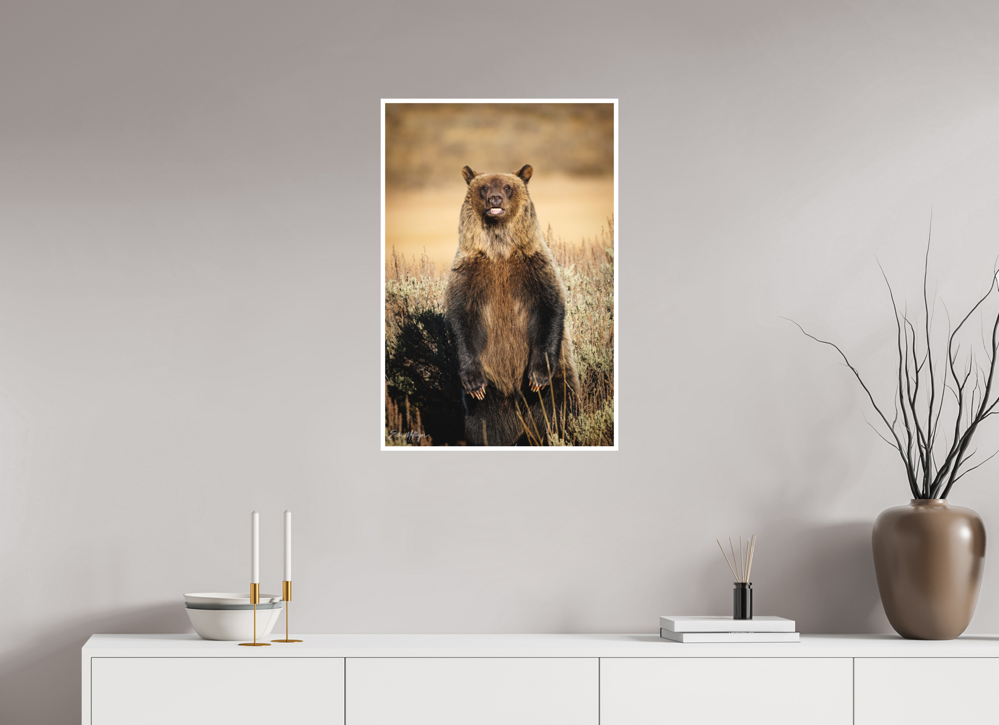 20 x 30″, Fine art print "Grin & Grizzly" - Grizzly Bear