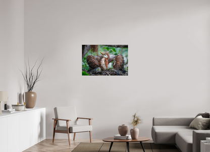36 x 24″, Metal "Finding My Wings" - Tricolored Heron