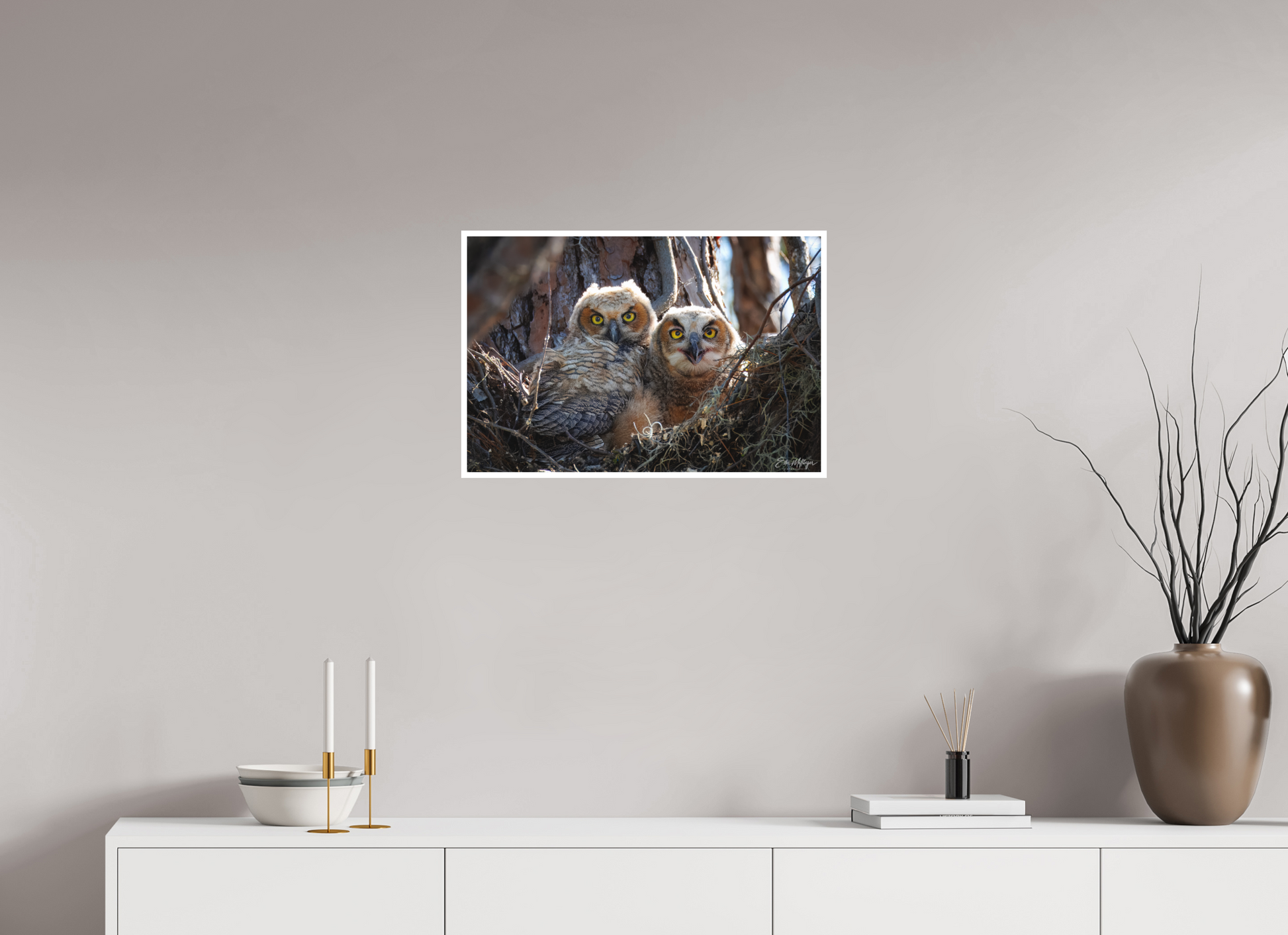 24 x 16″, Fine art print "Hidden in the Pines" - Great Horned Owlets