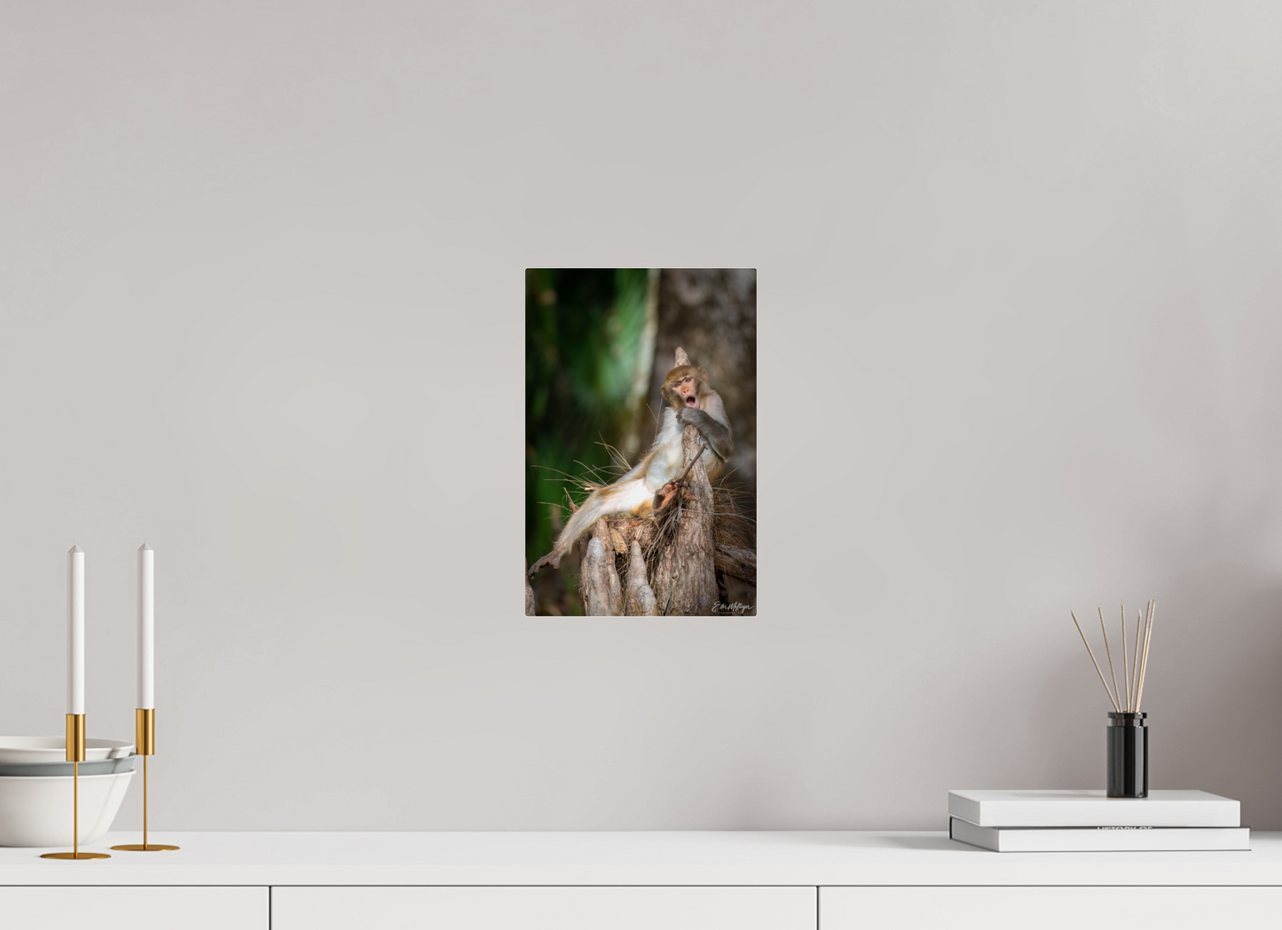 8 x 12″, Acrylic "Silver Song" - Rhesus Macaque