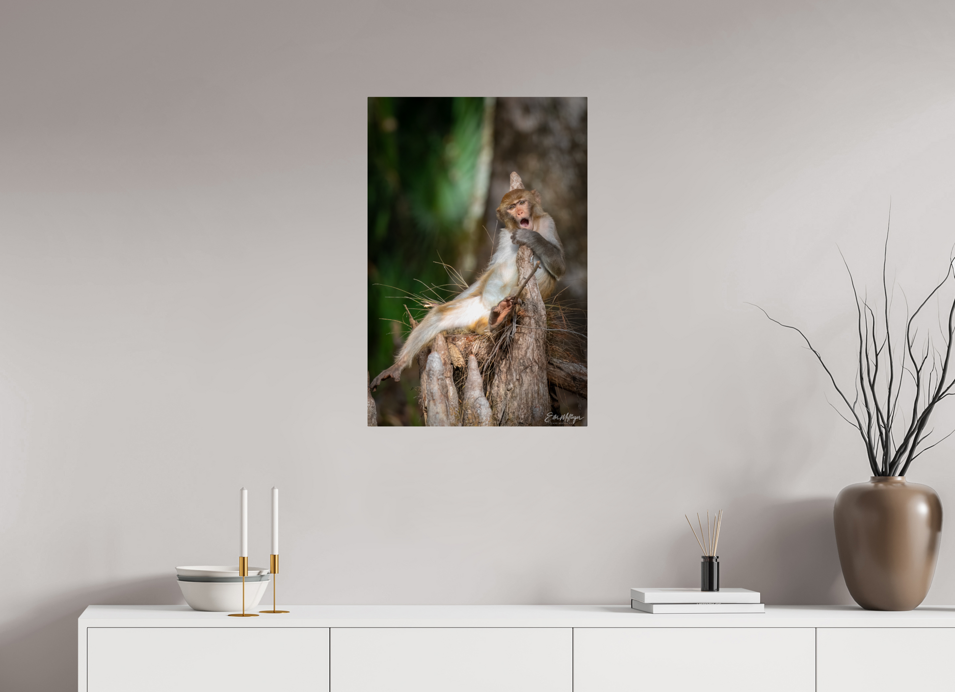 20 x 30″, Metal "Silver Song" - Rhesus Macaque