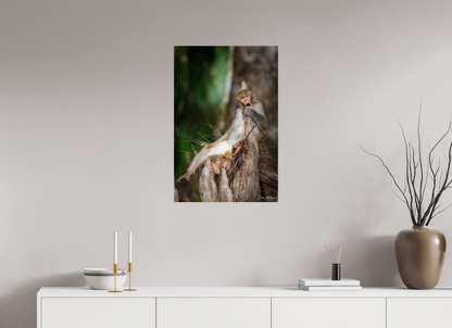 20 x 30″, Metal "Silver Song" - Rhesus Macaque