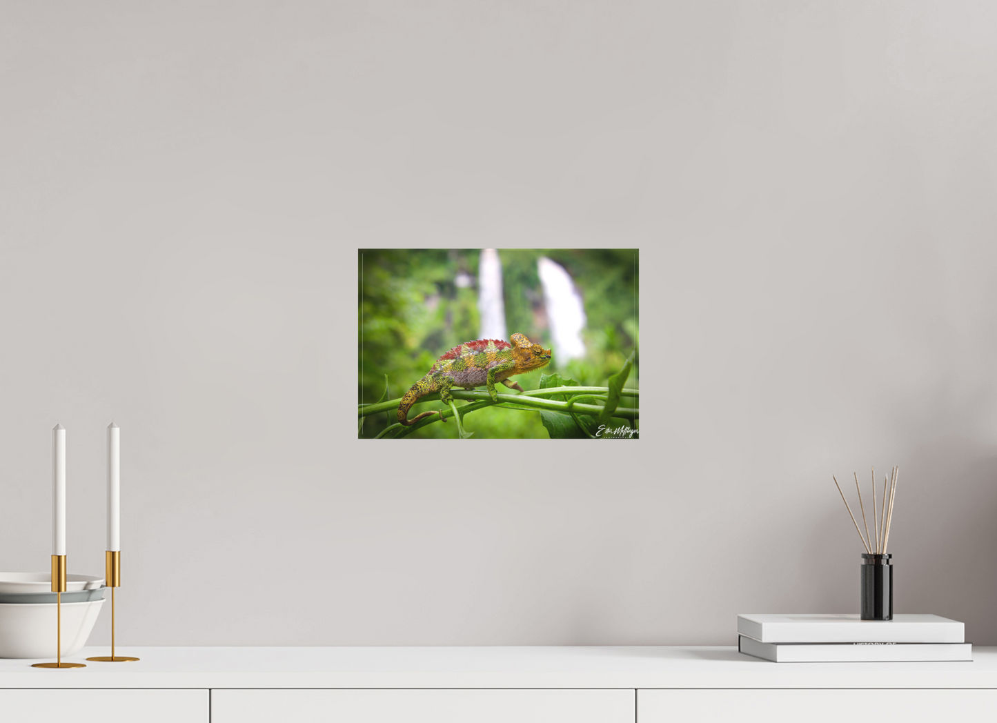 12 x 8″, Canvas "Guardian of the Falls" - Chameleon in the Rainforest
