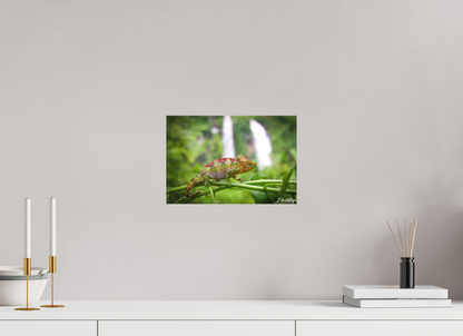 12 x 8″, Canvas "Guardian of the Falls" - Chameleon in the Rainforest