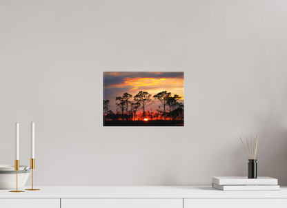 12 x 8″, Canvas "Fire in the Pines" - Big Cypress Sunset