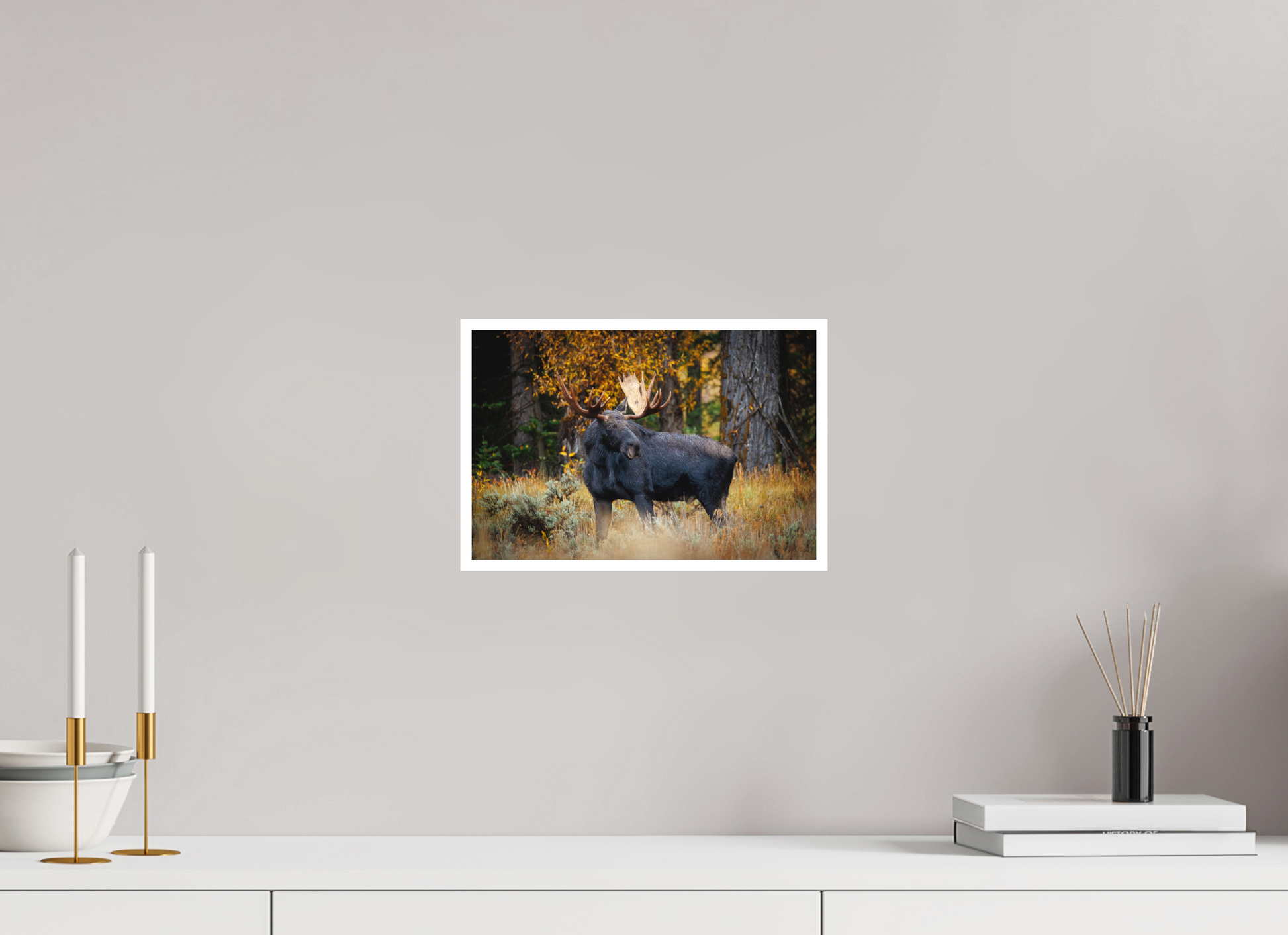12 x 8″, Fine art print "Guardian of the Gros Ventre" - Bull moose