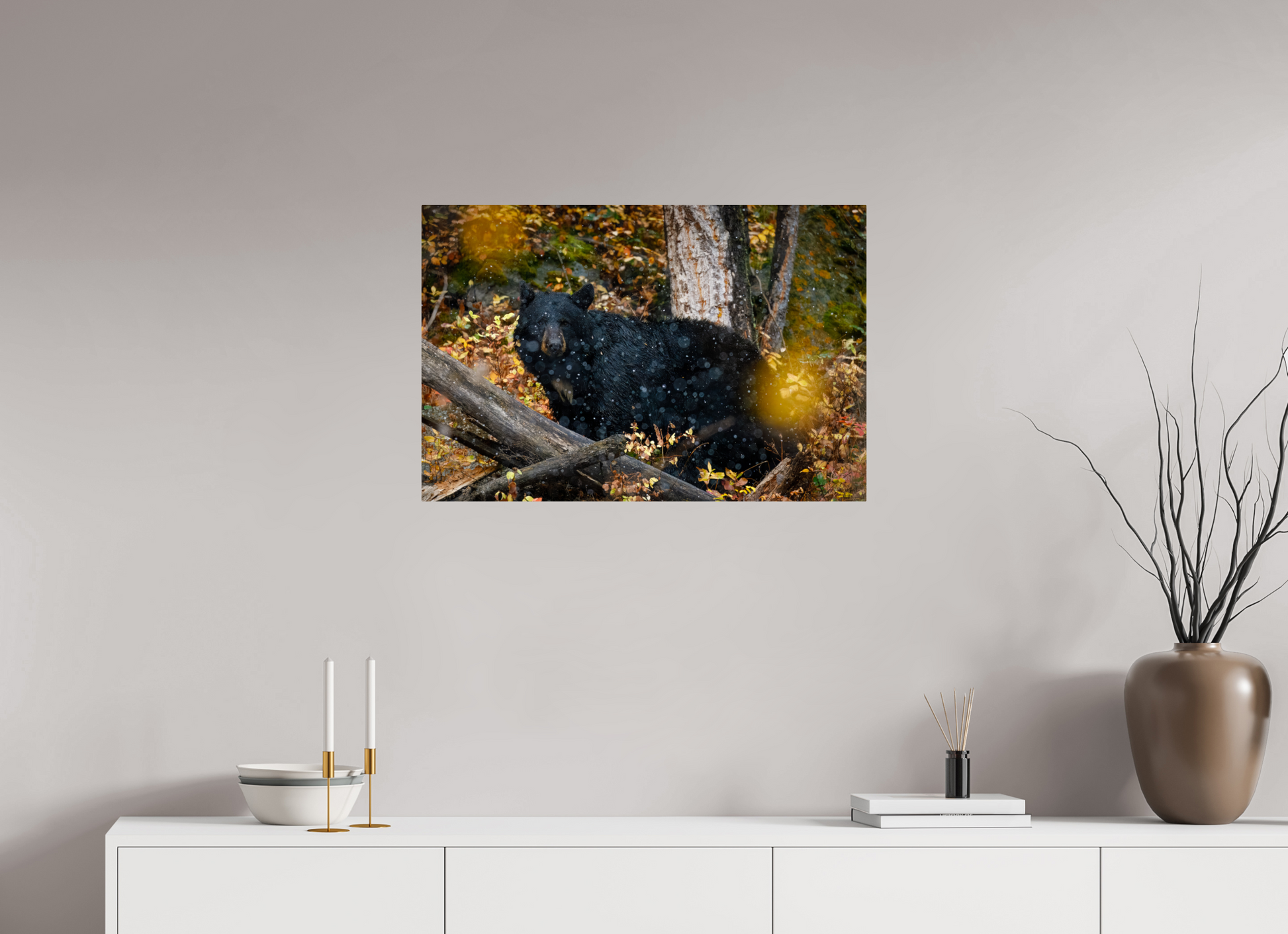 30 x 20″, Metal "Between Seasons" - Black Bear